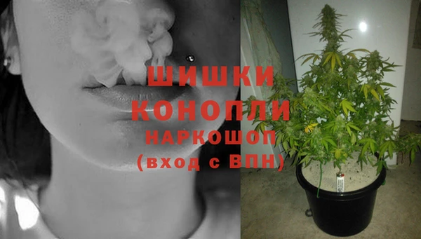 кокаин Белокуриха