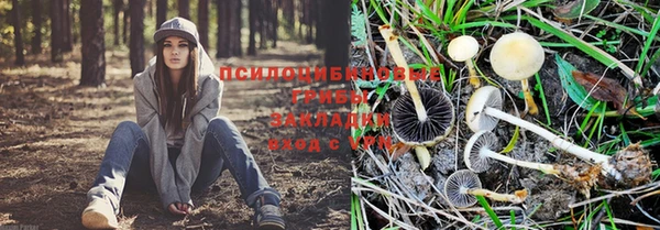 а пвп мука Снежногорск