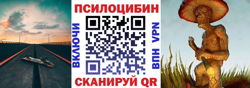 Псилоцибиновые грибы MAGIC MUSHROOMS  mega вход  Юхнов  продажа наркотиков 